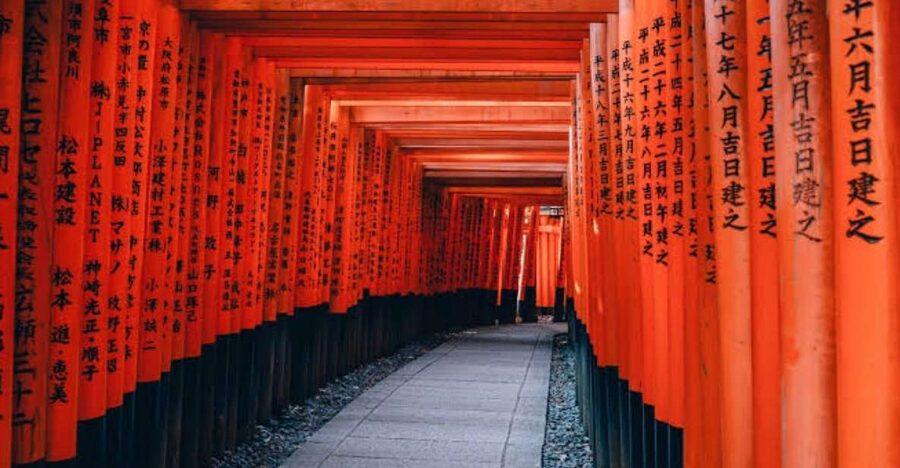 From Osaka/Kyoto: Private Kyoto & Nara Day Trip with Pickup - Nara Park and the deer at your feet