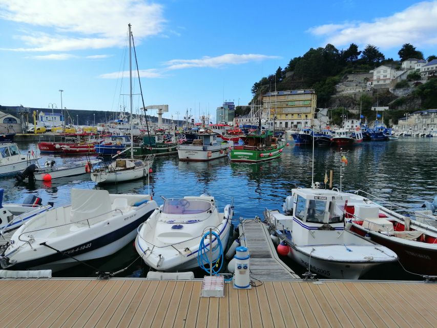 From Oviedo: Luarca, Cudillero and Avilés Day Trip - Who will get the most from this tour