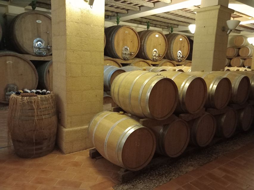 From Palermo: Erice and Marsala Day Trip with Lunch - Why this west Sicily day works so well