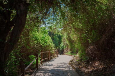 Blue Lagoon and Baths of Aphrodite Day Trip