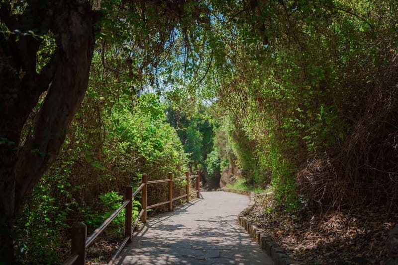 From Paphos: Blue Lagoon and Baths of Aphrodite Day Trip - A scenic route through the Akamas Peninsula