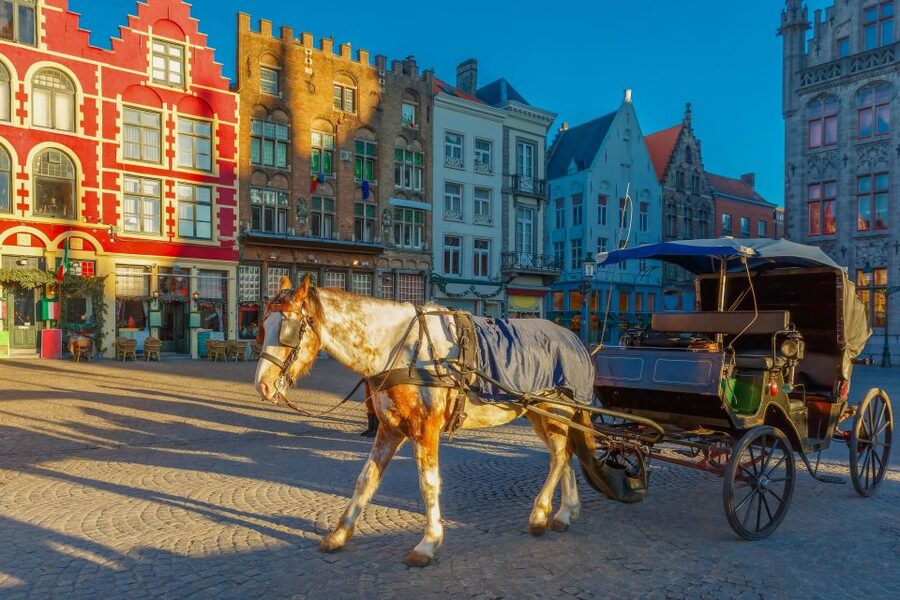 From Paris: Day Trip to Bruges with Optional Seasonal Cruise - Meeting at Hotel Pullman Paris Bercy