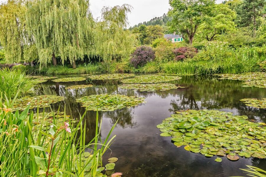 From Paris: Guided Day Trip to Monet's Garden in Giverny - Leaving Paris in a small minibus
