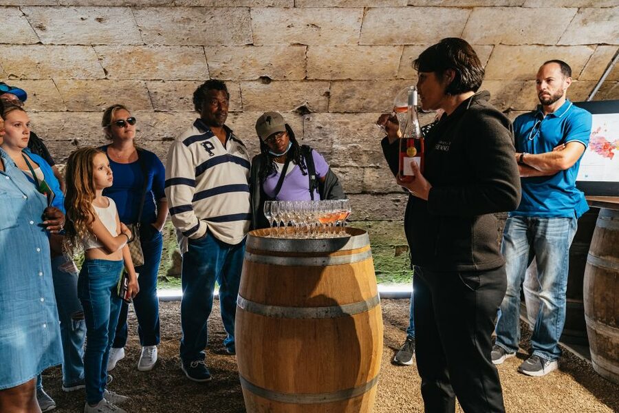 From Paris: Loire Valley Castles Day Trip With Wine Tasting - Why this Loire Valley day trip works from Paris