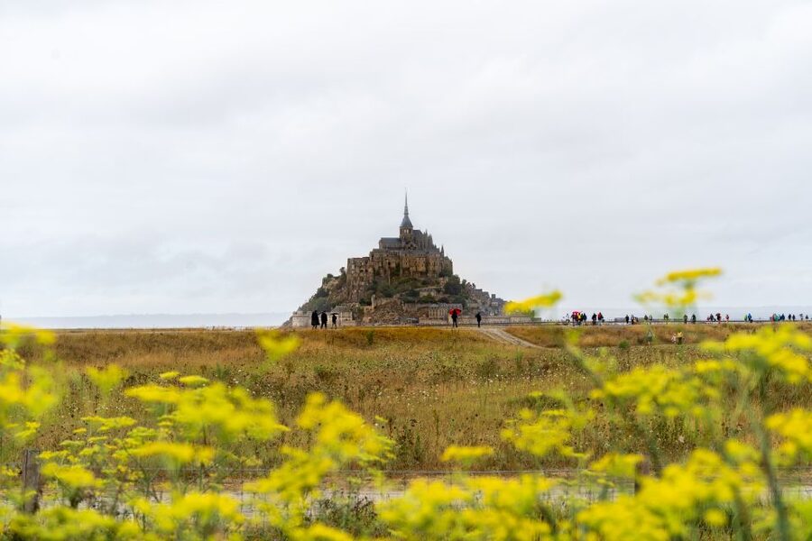 From Paris: Mont Saint Michel Day Trip with a Guide - Who will get the most from this tour
