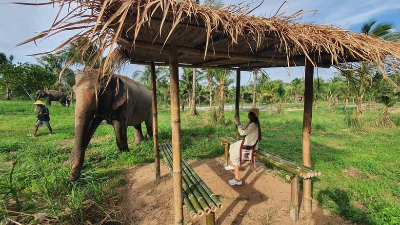 From Pattaya: Living Green Elephant Sanctuary Day Trip - Changing into Mo Hom clothing and meeting the staff