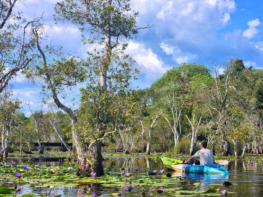 From Pattaya: Rayong Adventure Hike and Kayak Day Trip - Why this Rayong day trip is worth the long day