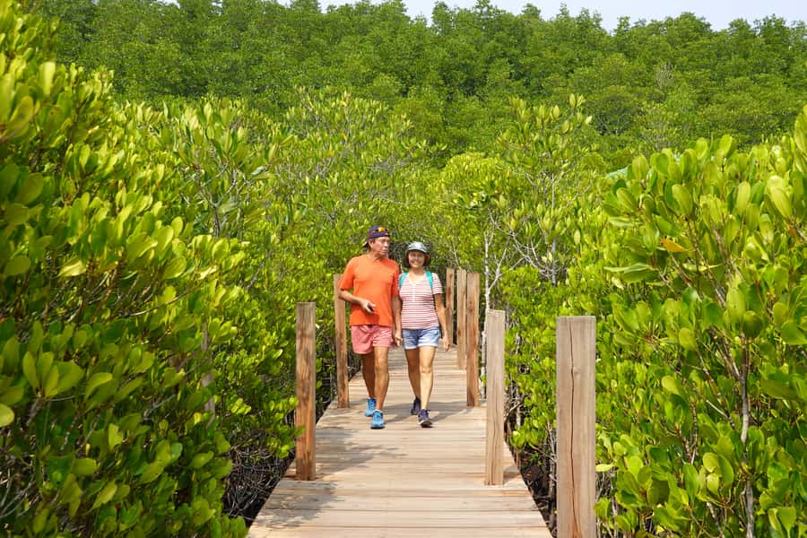 From Pattaya: Rayong Adventure Hike and Kayak Day Trip - Rayong Botanical Garden: the quiet finish by kayak