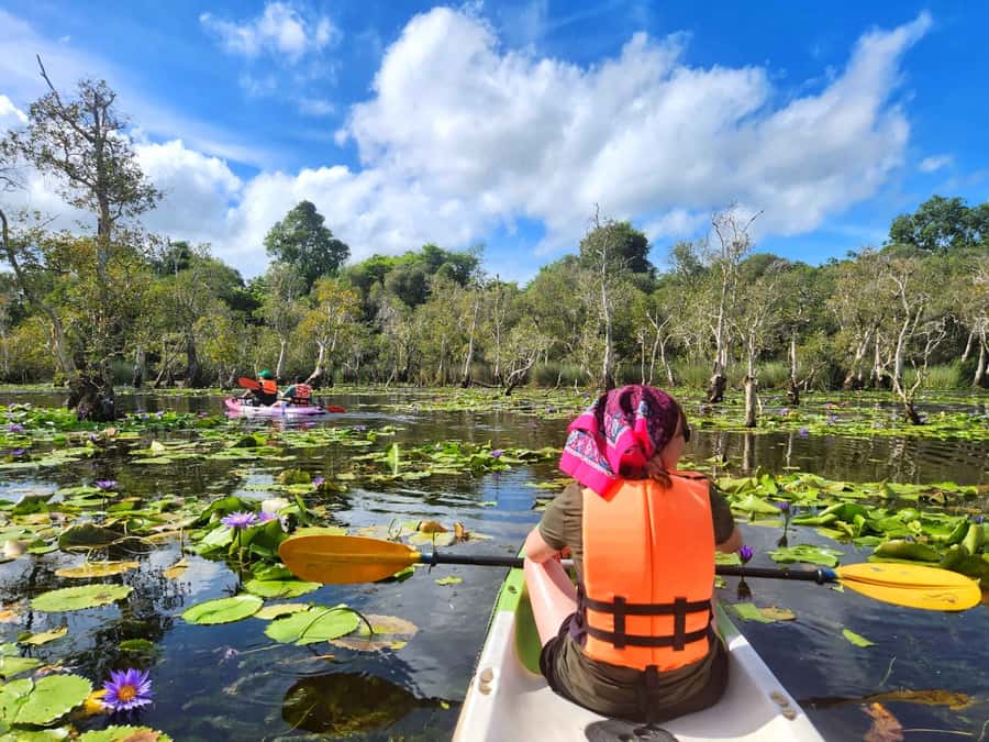 From Pattaya: Rayong Adventure Hike and Kayak Day Trip - Price, inclusions, and what you still pay for