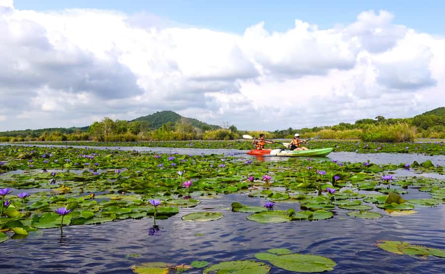 From Pattaya: Rayong Adventure Hike and Kayak Day Trip - Who should book this active Pattaya escape