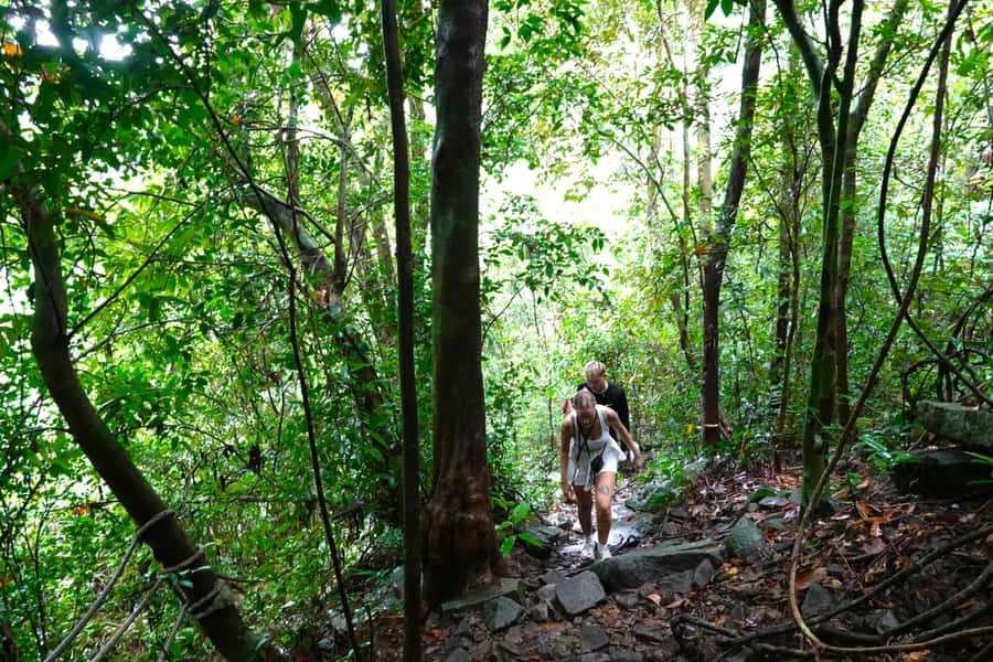 From Pattaya: Rayong Adventure Hike and Kayak Day Trip - Khao Chamao-Khao Wong: a real forest hike first