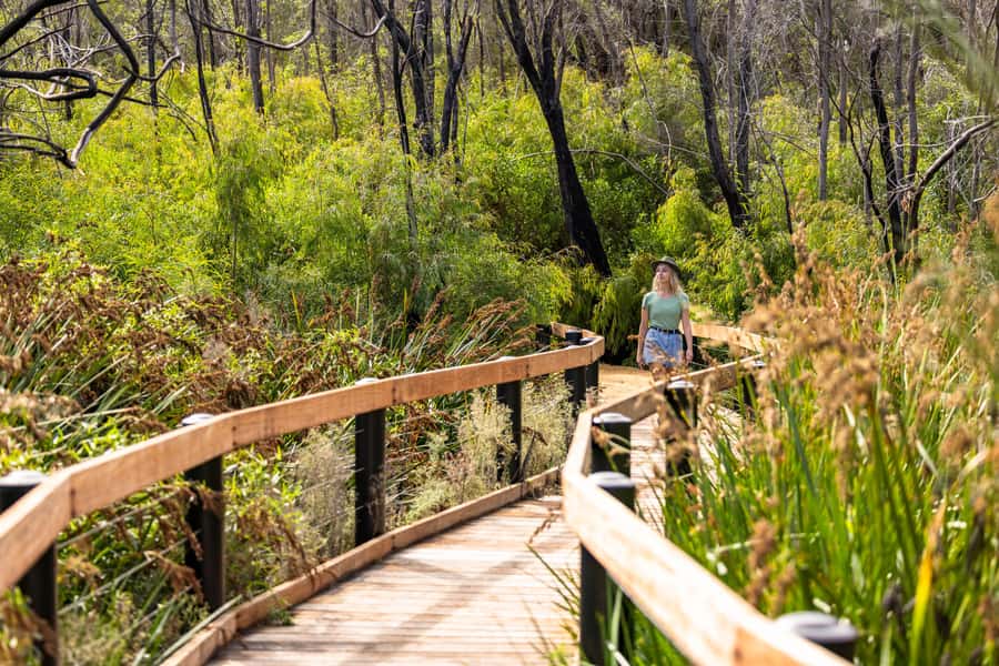 From Perth: Pinnacles Lobster Shack and Yanchep Day Trip - Lake Thetis and the stromatolite boardwalk