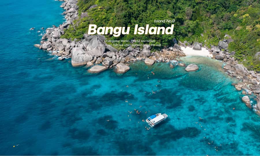 From Phuket or Khaolak : Similan Islands Day Trip - Who should choose this tour