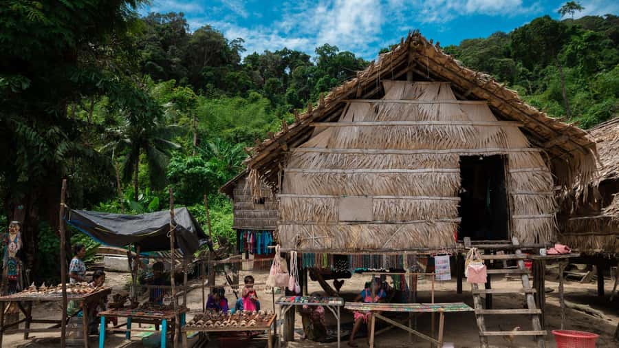 From Phuket or Khaolak: Surin Islands Day Trip - Key points at a glance