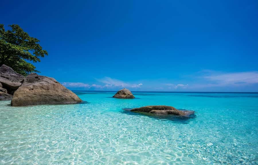 From Phuket: Similan Islands Day Trip - What the $135 price really buys
