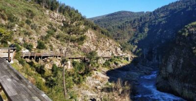 Arouca 516 and Paiva Walkways Guided Day Trip