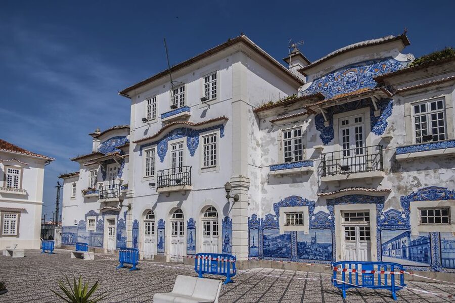 From Porto: Aveiro Private Guided Day Trip - Aveiro’s canals and the moliceiro boats