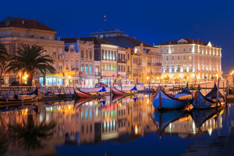 From Porto: Aveiro Private Guided Day Trip - Lunch, ovos moles, and local flavor