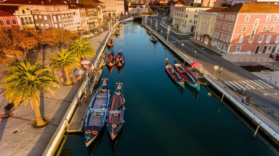 From Porto: Aveiro Private Guided Day Trip - Who should book this Aveiro day trip?