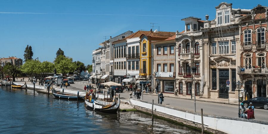 From Porto: Full-Day Trip to Coimbra & Aveiro with Boat Ride - Free time for Aveiro