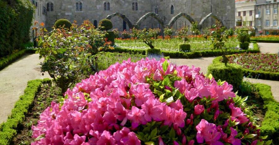 From Porto: Wonders of Braga & Guimaraes Private Day Trip - Key points to know before booking