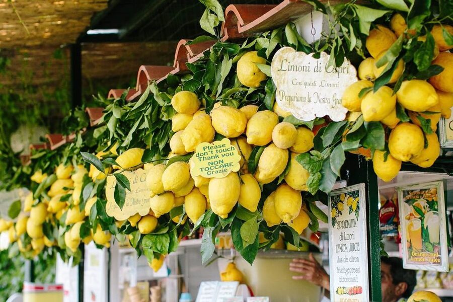 From Positano: Sorrento Coast & Capri Full-Day Trip by Boat - How to use your 3 to 5 hours on Capri