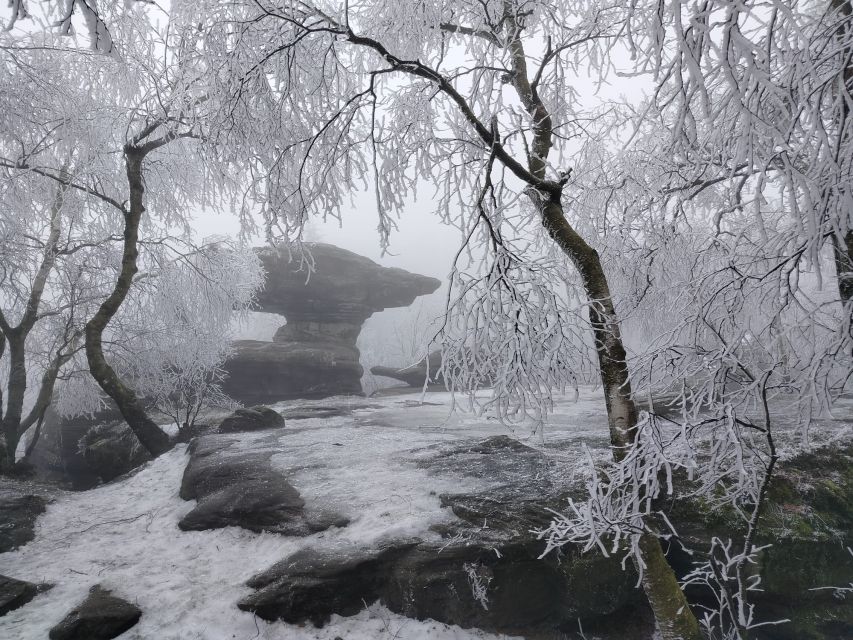 From Prague: Bohemian & Saxon Switzerland Iconic Day Trip - What the $151 price really buys