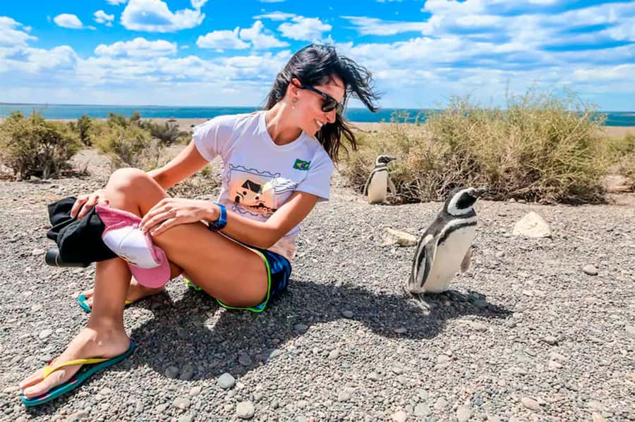 From Puerto Madryn: Full Day Excursion to Punta Tombo - Walking among the Magellanic penguins