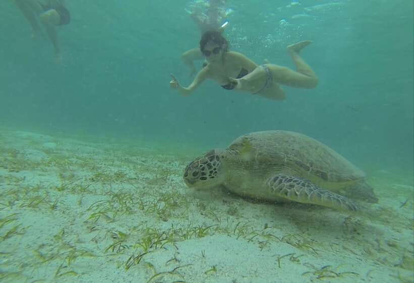 From Puerto Princesa: Port Barton & Island Hopping Day Trip - Port Barton’s appeal is its quieter shore