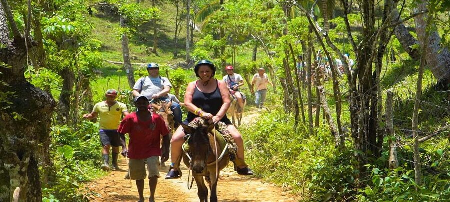 From Punta Cana: Samana Full Day Trip by Bus and Boat - A plantation home and fresh Dominican fruit