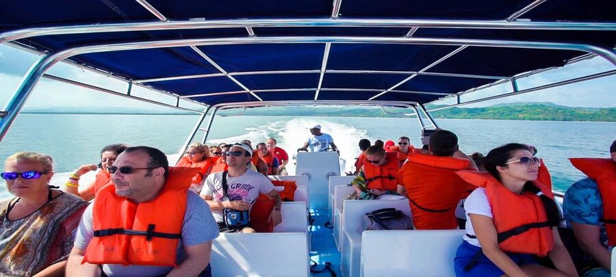 From Punta Cana: Samana Full Day Trip by Bus and Boat - Waterfall time: beautiful, but not unlimited