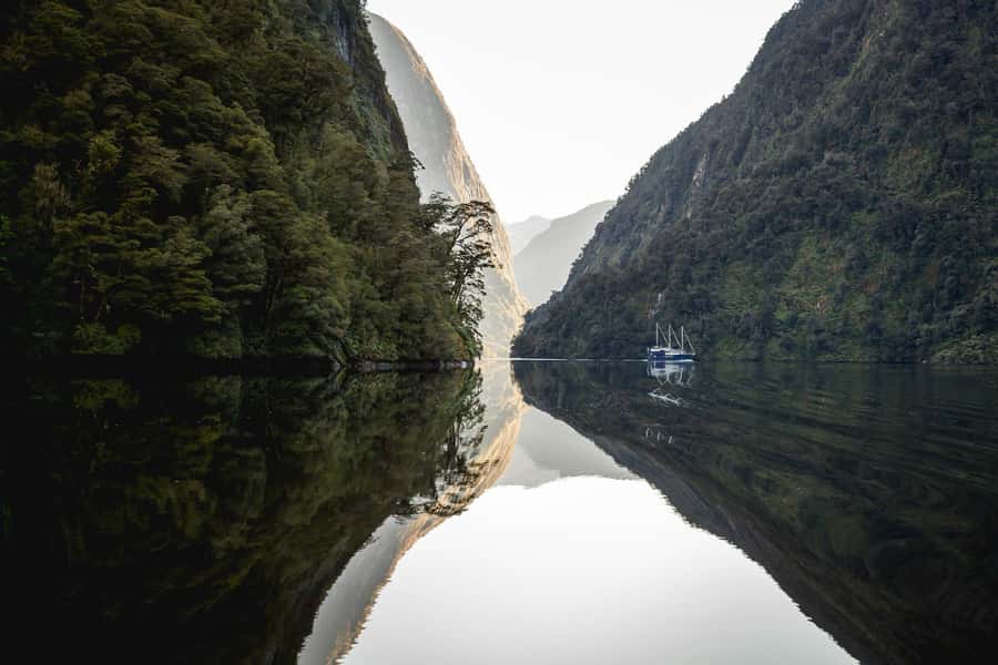 From Queenstown: Doubtful Sound Wilderness Day Trip - Food, drinks, and what to pack