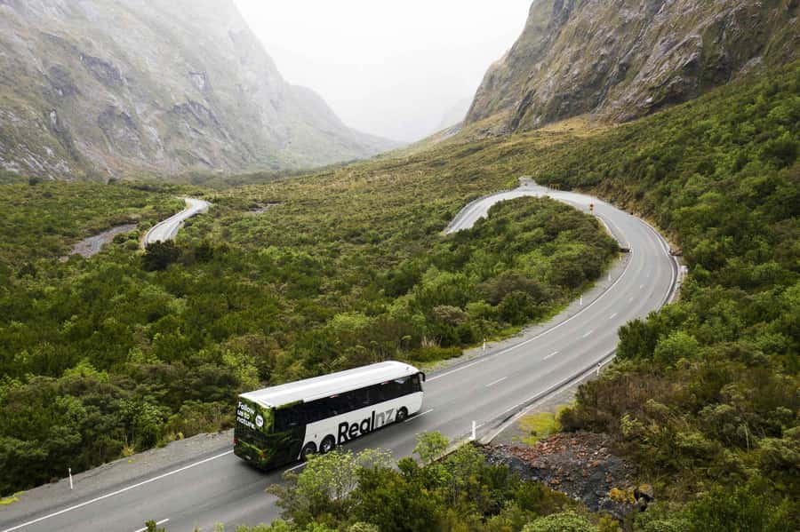 From Queenstown: Milford Sound Cruise and Coach Day Trip - Lake Whakatipu, Te Anau, and the first part of the drive