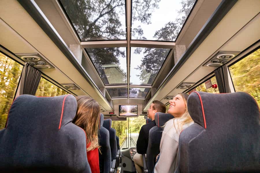 From Queenstown: Milford Sound Day Trip on Premium Coach - Key points to know before booking