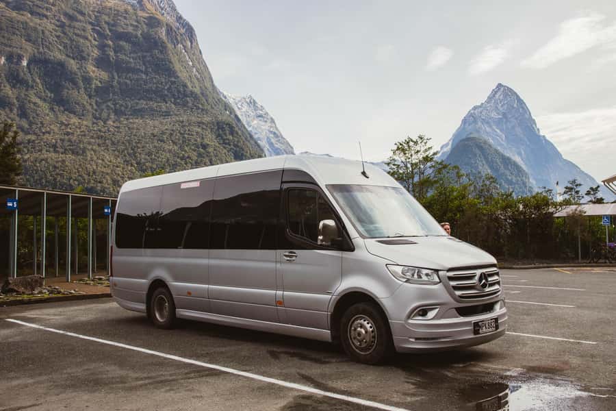 From Queenstown: Milford Sound Day Trip with Cruise & Flight - Wildlife and the best place to stand