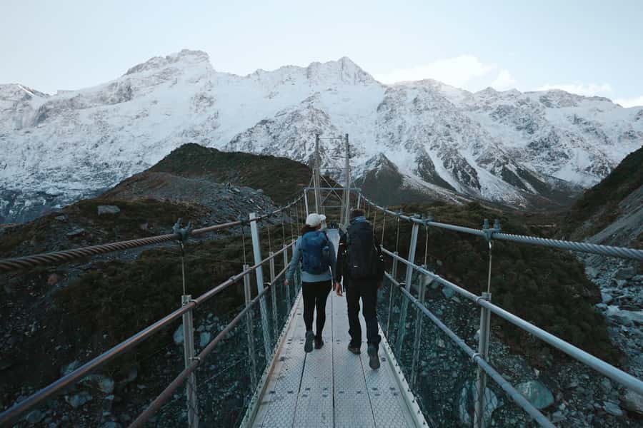 From Queenstown: Mount Cook Day Trip via Scenic Flight - Fox and Franz Josef Glaciers from the air