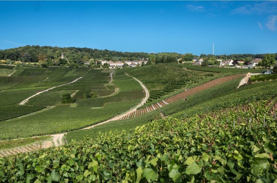 From Reims: Champagne Day Trip to 3 Family Domains & Lunch - Hautvillers and the story of Dom Pérignon