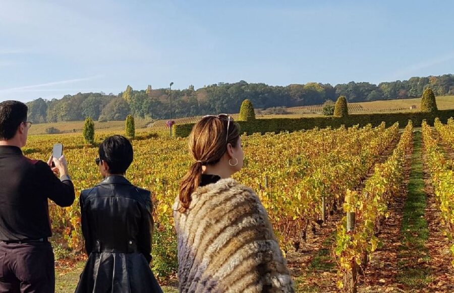 From Reims: Champagne Day Trip to 3 Family Domains & Lunch - The van, group size, and physical demands