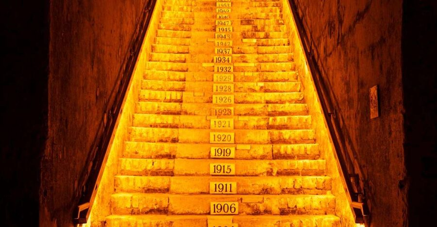 From Reims: Day Trip to Veuve Clicquot Family Grower & Lunch - Notre-Dame Cathedral in a 30-minute visit