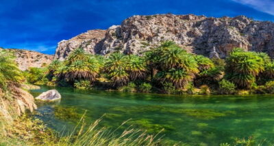 From Rethymno/Chania: Day Trip to Preveli Palm Beach