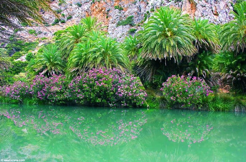 From Rethymno/Chania: Day Trip to Preveli Palm Beach - Preveli Beach and the palm forest