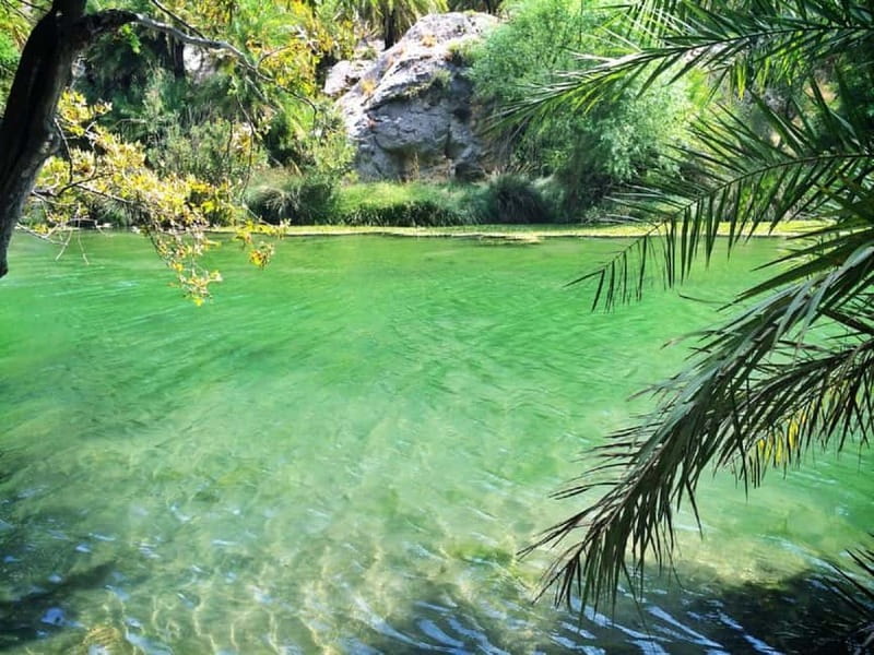 From Rethymno/Chania: Day Trip to Preveli Palm Beach - Walking beside the river