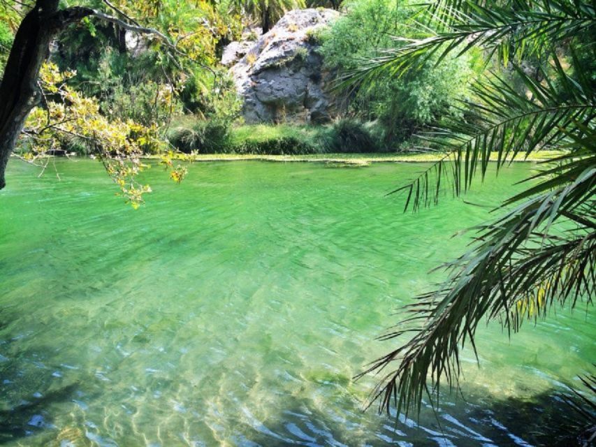 From Rethymno: Preveli Palm Beach and Kourtaliotiko Day Trip - Damnoni Beach and the short Libyan Sea crossing