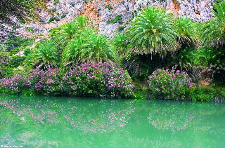 From Rethymno: Preveli Palm Beach and Kourtaliotiko Day Trip - Damnoni, food, and the question of the final stop