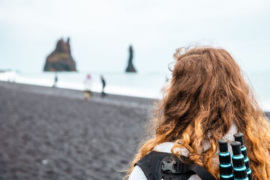 From Reykjavik: South Coast Full-Day Trip - A day shaped by the guide