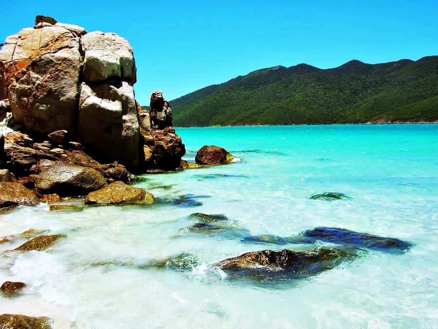 From Rio: Arraial do Cabo - The Brazilian Caribbean Daytrip - Language, group size, and the guide