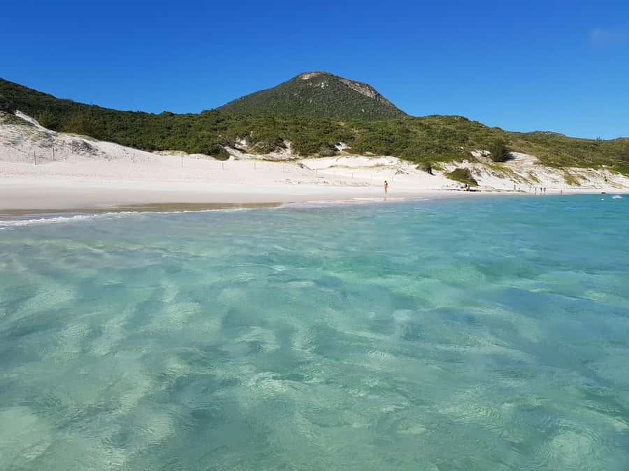 From Rio de Janeiro: Arraial do Cabo Island Day Trip - Why Arraial do Cabo is worth the long ride