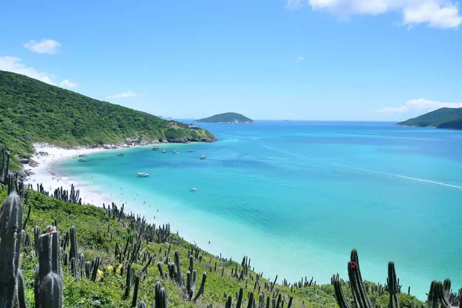 From Rio de Janeiro: Arraial do Cabo Island Day Trip - Praia do Forno, a gentler first taste of the coast