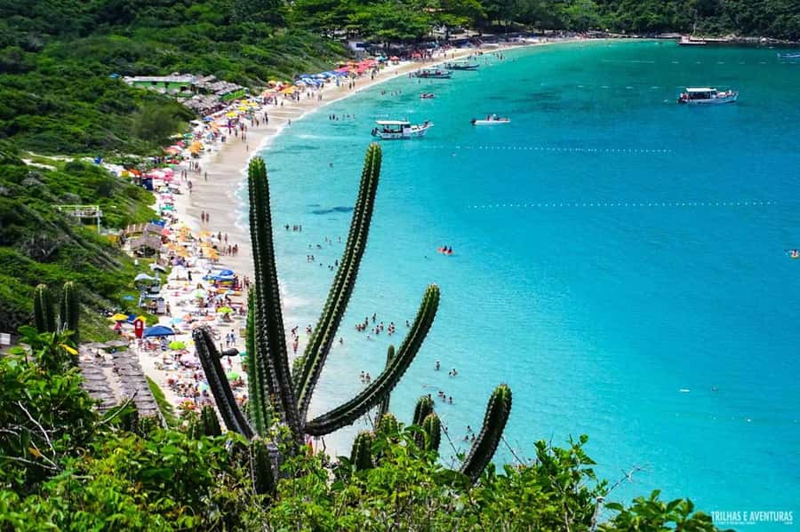 From Rio de Janeiro: Arraial do Cabo Island Day Trip - Swimming, reefs, and what to bring for the water