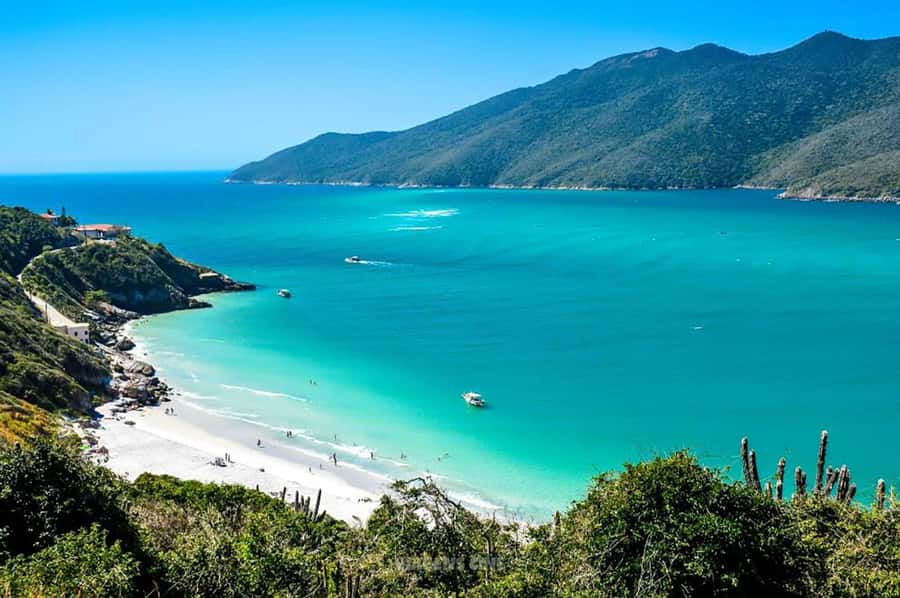 From Rio de Janeiro: Arraial do Cabo Island Day Trip - Guides, languages, and group management